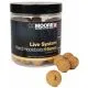 CC Moore Live System Hard Hookbaits 24mm 