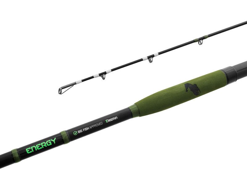 Delphin ENERGY Catfish 250cm/250-500g
