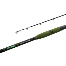 Delphin ENERGY Catfish 280cm/250-500g