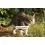 Tractive GPS CAT 6 Mini + obojok &ndash; GPS lok&aacute;tor a monitor zdravia pre mačky &ndash; čierny