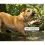 Tractive DOG 6 XL &ndash; GPS lok&aacute;tor pre psy a monitor zdravia, čierny