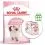 ROYAL CANIN Kitten granule pre mačiatka v ich druhej f&aacute;ze rastu 10 kg + 12 kapsičiek ZADARMO