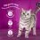 Whiskas kapsička Hydinov&eacute; hody v žel&eacute; 40 x 85 g