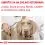 Royal Canin VHN Neutered Adult Small Dog 3,5 kg - PO&Scaron;KODEN&Yacute; OBAL