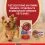 Purina ONE Mini Dog Adult kapsičky pre psov kura, hov&auml;dzie, jahňacie v &scaron;ťave 10x85 g