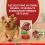 Purina ONE Mini Dog Active kapsičky pre psov hov&auml;dzie, kačica v &scaron;ťave 10x85 g
