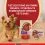 Purina ONE Mini Dog Sensitive kapsičky pre psov losos v &scaron;ťave 10x85 g