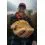 Sonubaits SUPERCRUSH Mega Carp Method Mix Original 2kg