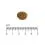 Eminent Selection Adult Cat Poultry 2 kg
