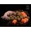 Delphin Boilies Delphin BreaX / SeaKER Squid-Salmon 20mm/300g
