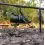 AVID Carp Revolve 12000FS