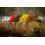 Black Cat REAL WORM TEASER Real Worm EVO 120g