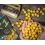 Shimano TX1 Boillie Banana & Pineapple 24mm - 1kg