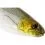 Westin SHADTEEZ 16cm/39g Tiger Perch 1x