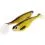Westin SHADTEEZ 16cm/39g Tiger Perch 1x