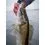 Berkley Cullshad 15cm/50g Deep Rainbow Trout