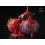 Delphin Booster BreaX/SweetBERRY Mulberry Strawberry Plum 250ml