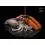 Delphin Booster BreaX/SeaKER Squid Salmon 250ml