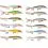 Rapala Wobler X Rap 10 ROL 10cm/13g