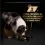 Purina Pro Plan All Size Adult Everyday Nutrition Lamb in Gravy 400 g