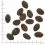 WOLFSBLUT Wild Pacific 12,5 kg + Cestovn&aacute; deka ZADARMO