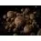 Delphin BreaX SeaKER Squid-Salmon 24mm/100g
