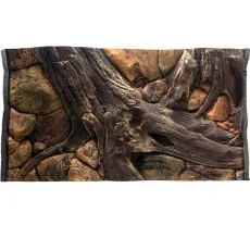 Pozadia do akv&aacute;ria