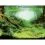 Pozadie do akv&aacute;ria PLANTS/OCEANS L - 100 x 50cm