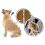 BEAPHAR IMMO SHIELD PES &bdquo;S&ldquo; 3 x 1,5ml