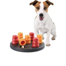 Interaktívne hračky pre psov