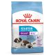 Royal Canin Giant Starter Mother&Babydog granule pre gravidné alebo dojčiace suky a šteňatá 15 kg