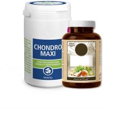 Vitamíny pre psov