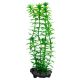 Egeria densa (Anacharis) - rastlina Tetra 30 cm, L