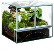 Terárium - Black Friday