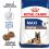 ROYAL CANIN MAXI Ageing 8+, 15 kg