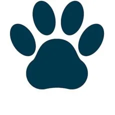 Starostlivosť o labky