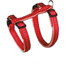 Obojky, vod&iacute;tka a postroje