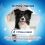 Purina Dentalife Medium 115 g