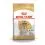 ROYAL CANIN Maltese Adult granule pre malt&eacute;zskeho ps&iacute;ka 1,5 kg