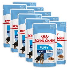 Royal Canin Maxi Puppy kapsička pre veľké šteňatá 10 x 140 g