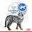Royal Canin Indoor Sterilised In Gravy Pouch 12 x 85 g