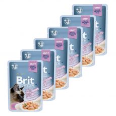 Kapsička BRIT Premium Cat Delicate Fillets in Gravy with Salmon for Sterilised 6 x 85 g