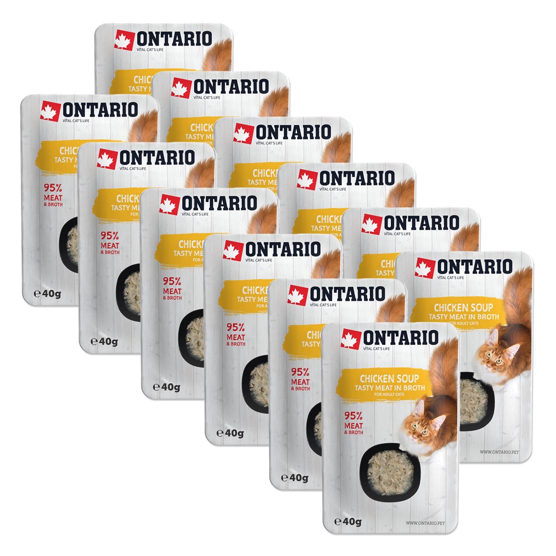 Ontario Cat chicken soup 12 x 40 g
