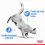 Royal Canin Light Weight Care di&eacute;tne granule pre mačky 1,5 kg