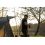 Zfish Bivvy Deluxe King Size 2 Men