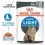 Royal Canin Ultra Light Jelly kapsička pre mačky s nadv&aacute;hou v žel&eacute; 12 x 85 g