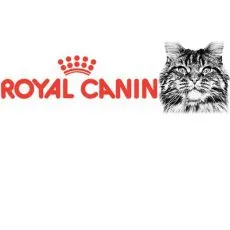 Čistokrvn&eacute; mačky Royal Canin