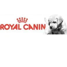 &Scaron;teňat&aacute; Royal Canin