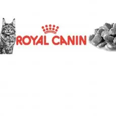 Vlhk&eacute; krmivo Royal Canin