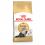 Royal Canin Persian Adult granuly pre dospelé perské mačky 10 kg